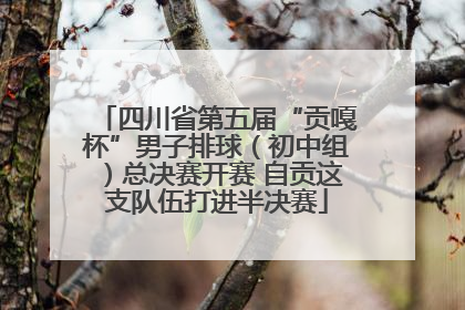 四川省第五届“贡嘎杯”男子排球（初中组）总决赛开赛 自贡这支队伍打进半决赛