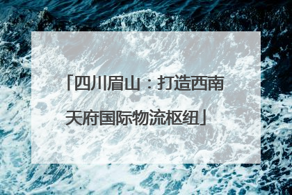 四川眉山：打造西南天府国际物流枢纽