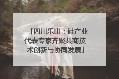 四川乐山：硅产业代表专家齐聚共商技术创新与协同发展