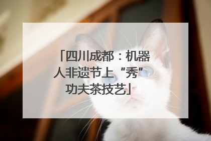 四川成都：机器人非遗节上“秀”功夫茶技艺
