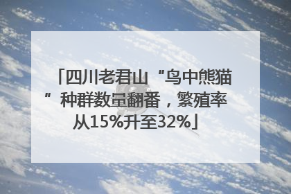 四川老君山“鸟中熊猫”种群数量翻番，繁殖率从15%升至32%