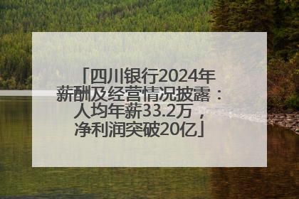 四川银行2024年薪酬及经营情况披露：人均年薪33.2万，净利润突破20亿