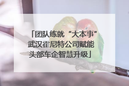 团队练就“大本事” 武汉霍尼特公司赋能头部车企智慧升级
