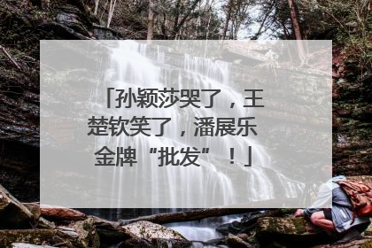 孙颖莎哭了，王楚钦笑了，潘展乐金牌“批发”！