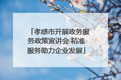 孝感市开展政务服务政策宣讲会 精准服务助力企业发展