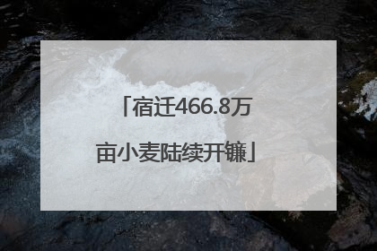 宿迁466.8万亩小麦陆续开镰