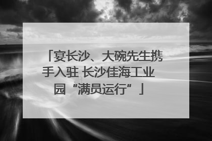 宴长沙、大碗先生携手入驻 长沙佳海工业园“满员运行”