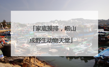 家底摸排，崂山成野生动物天堂