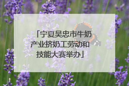 宁夏吴忠市牛奶产业挤奶工劳动和技能大赛举办