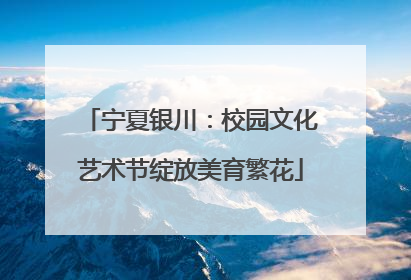宁夏银川：校园文化艺术节绽放美育繁花