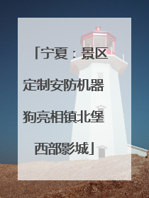 宁夏：景区定制安防机器狗亮相镇北堡西部影城