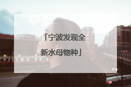 宁波发现全新水母物种