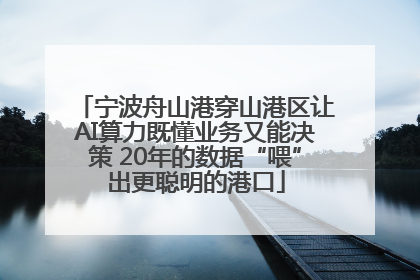 宁波舟山港穿山港区让AI算力既懂业务又能决策 20年的数据“喂”出更聪明的港口