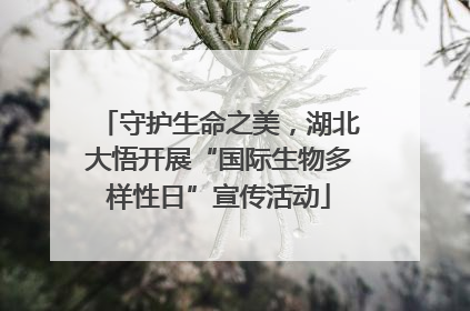 守护生命之美，湖北大悟开展“国际生物多样性日”宣传活动
