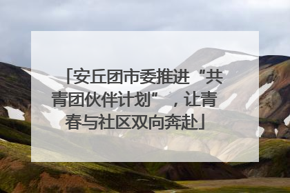 安丘团市委推进“共青团伙伴计划”，让青春与社区双向奔赴