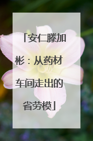 安仁滕加彬：从药材车间走出的省劳模
