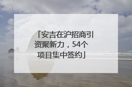 安吉在沪招商引资聚新力，54个项目集中签约