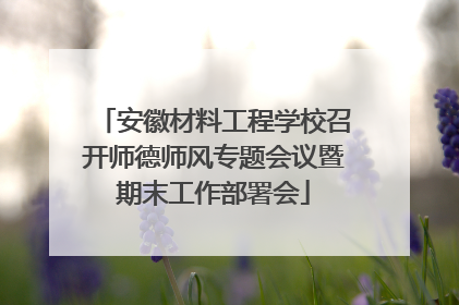 安徽材料工程学校召开师德师风专题会议暨期末工作部署会