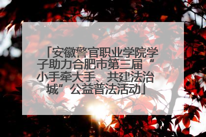 安徽警官职业学院学子助力合肥市第三届“小手牵大手、共建法治城”公益普法活动