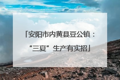 安阳市内黄县豆公镇：“三夏”生产有实招