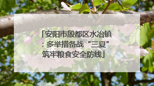 安阳市殷都区水冶镇：多举措备战“三夏” 筑牢粮食安全防线