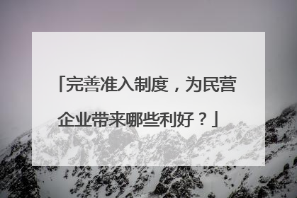 完善准入制度，为民营企业带来哪些利好？