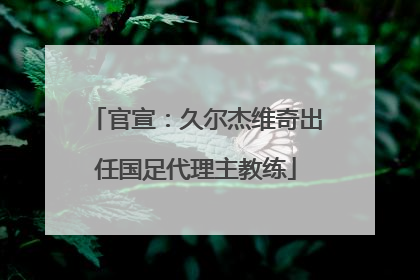 官宣：久尔杰维奇出任国足代理主教练