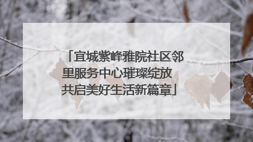宜城紫峰雅院社区邻里服务中心璀璨绽放 共启美好生活新篇章