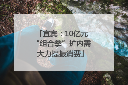 宜宾：10亿元“组合拳”扩内需 大力提振消费