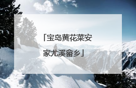 宝岛黄花菜安家尤溪畲乡
