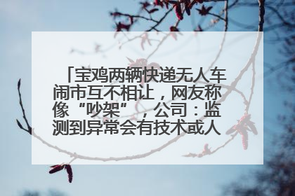 宝鸡两辆快递无人车闹市互不相让，网友称像“吵架”，公司：监测到异常会有技术或人为干预处置