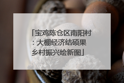 宝鸡陈仓区南阳村：大棚经济结硕果 乡村振兴绘新图