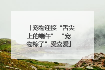 宠物迎接“舌尖上的端午” “宠物粽子”受喜爱