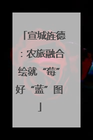 宣城旌德：农旅融合绘就“莓”好“蓝”图