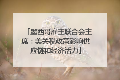 墨西哥雇主联合会主席：美关税政策影响供应链和经济活力