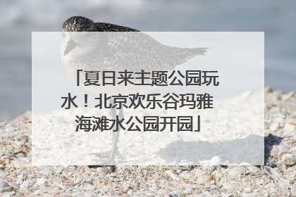 夏日来主题公园玩水！北京欢乐谷玛雅海滩水公园开园