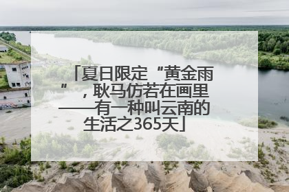夏日限定“黄金雨”，耿马仿若在画里——有一种叫云南的生活之365天
