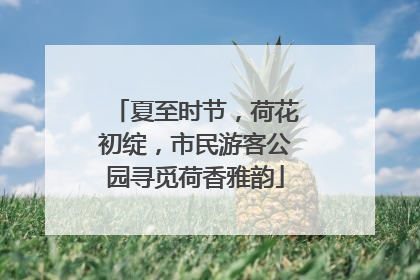 夏至时节，荷花初绽，市民游客公园寻觅荷香雅韵