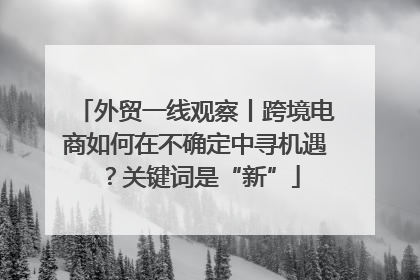 外贸一线观察丨跨境电商如何在不确定中寻机遇？关键词是“新”