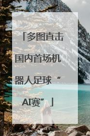 多图直击国内首场机器人足球“AI赛”