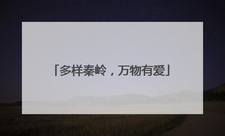 多样秦岭，万物有爱