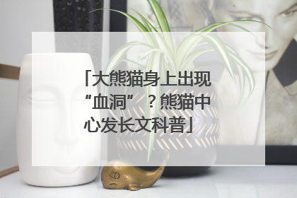 大熊猫身上出现“血洞”？熊猫中心发长文科普