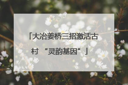 大冶姜桥三招激活古村 “灵韵基因”