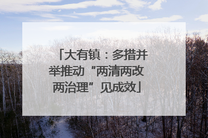 大有镇：多措并举推动“两清两改两治理”见成效