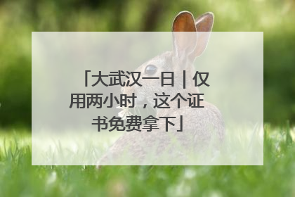 大武汉一日｜仅用两小时，这个证书免费拿下