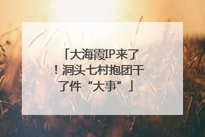 大海霞IP来了！洞头七村抱团干了件“大事”