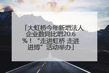 大虹桥今年新增法人企业数同比增20.6%！“走进虹桥 走进进博”活动举办
