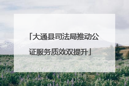 大通县司法局推动公证服务质效双提升