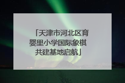 天津市河北区育婴里小学国际象棋共建基地启航