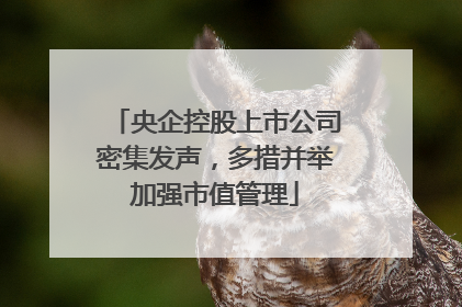 央企控股上市公司密集发声，多措并举加强市值管理